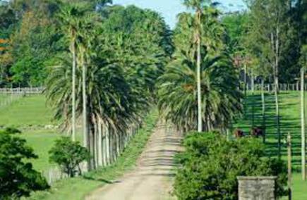 Las mejores GASTRONOMÍAS Y HOSTELERÍAS en Durazno