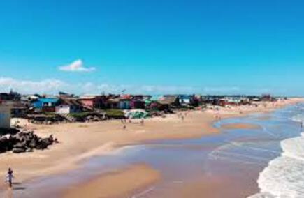 Las Mejores Gastronomías y Hostelerías en Rocha