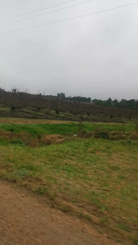 Comentarii opinii despre MonfrA winerestaurant