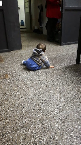 Opinii despre THE SANDWICH CLUB în Maldonado - Gastronomía y hostelería