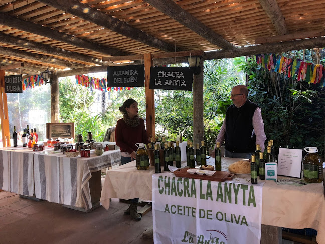 Comentarii opinii despre Punta Ballena Market