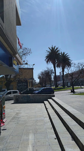 Opinii despre Grido Helado - Grido Herrera în Montevideo - Gastronomía y hostelería