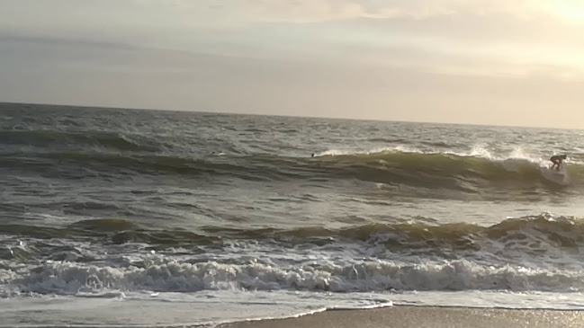 Comentarii opinii despre Punto Sur