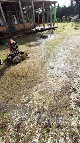 Comentarii opinii despre Bucaré Café