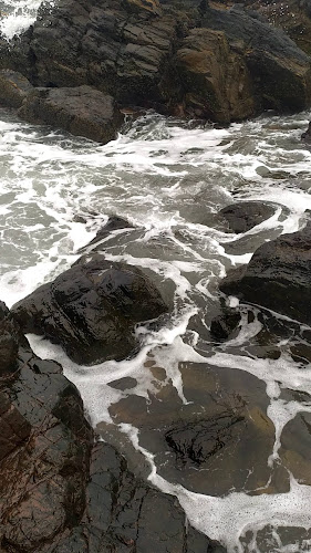 Ruta Interbalnearia Gral. Líber Seregni km 119, 20003 Punta Ballena, Departamento de Maldonado