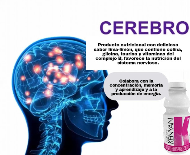 Salud y belleza - Nueva Palmira