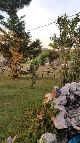 Opinii despre Tu pedacito de cielo în Minas - Gastronomía y hostelería