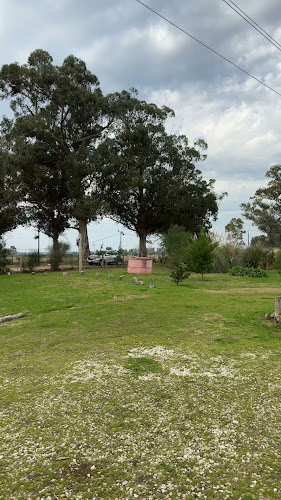 Bucaré Café - Gastronomía y hostelería