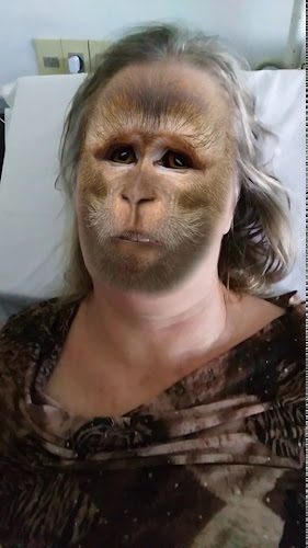 Av Giannatassio km 19, 15001 Ciudad de la Costa, Departamento de Canelones