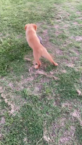 Restaurante y parrillada CariMar