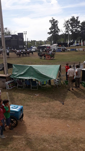 Parador Parque Rodó - Minas