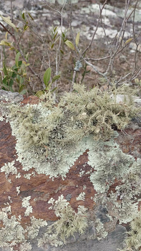 Bartolomé Mitre 1236, 11000 Montevideo, Departamento de Montevideo