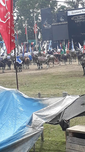 Comentarii opinii despre Parador Parque Rodó