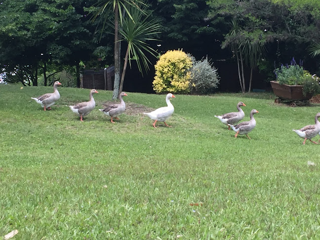 Chacra La tardecita - Las Piedras