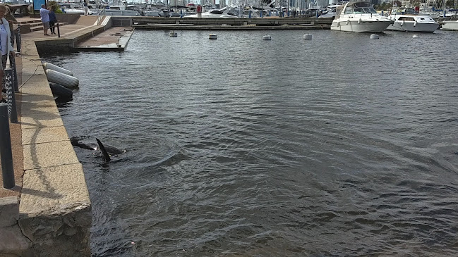 Yacht Club Uruguayo Restaurante - Punta del Este