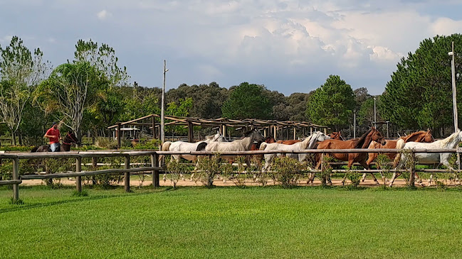 Opinii despre Restaurante el Estribo în Canelones - Gastronomía y hostelería