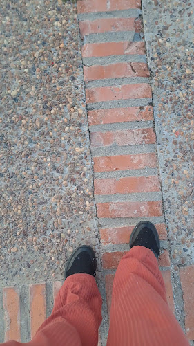 Opinii despre Parador Felipe în Paysandú - Gastronomía y hostelería