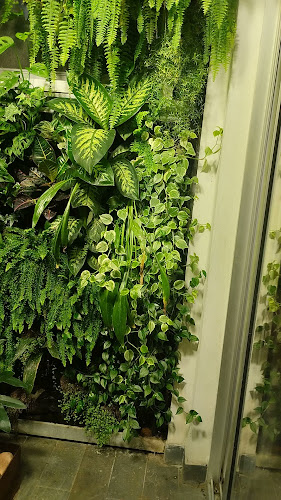 La Especialista Trattoria - Montevideo