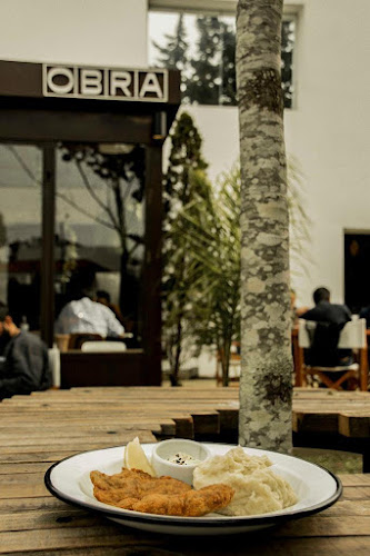 Comentarii opinii despre Obra