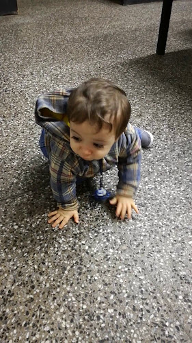 THE SANDWICH CLUB - Gastronomía y hostelería