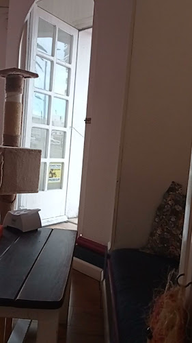 ADRIANUZCA'S CAT CAFÉ ☕🐈 - Gastronomía y hostelería