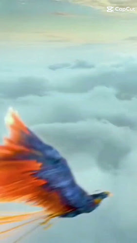 Boca Juniors Manzana 20 Solar 27 Parada 3, 80500 Playa Pascual, Departamento de San José