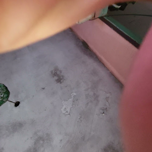 Opinii despre La Feliche în Montevideo - Gastronomía y hostelería