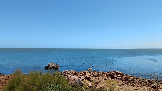 Pescadería Tupambae Ornella