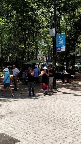 Feria de antigüedades de Plaza Constitución - Montevideo