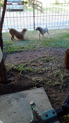 Opinii despre Delicias Del Valle în Treinta y Tres - Gastronomía y hostelería