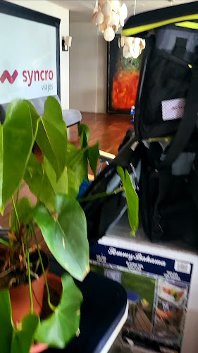 Chill Out Puerto - Punta del Este