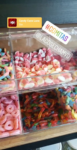 Opinii despre La Cosecha - Tienda a granel în Montevideo - Gastronomía y hostelería