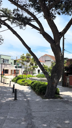 Comentarii opinii despre Nona