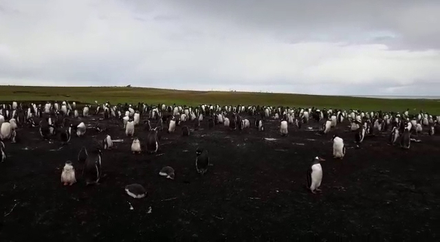 Santoral Restaurante y Posada - Atlántida
