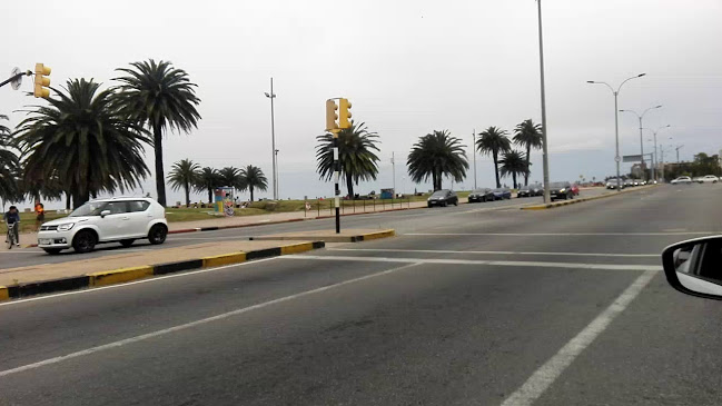 Los Tíos - Montevideo