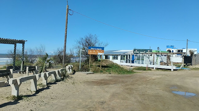 Aguacate - La Paloma