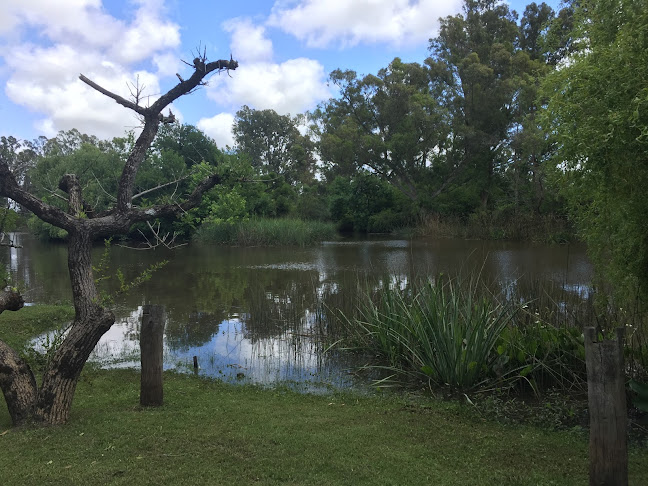 Chacra La tardecita - Gastronomía y hostelería