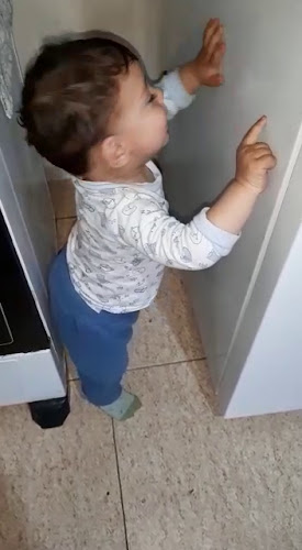 Comentarii opinii despre Bocaditos La Tortuga