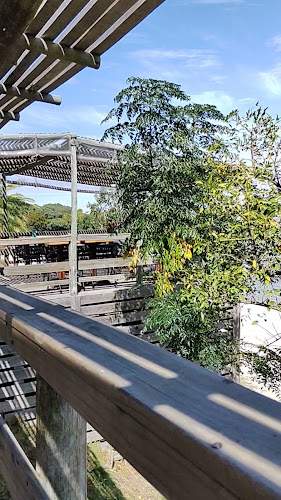 Puerto Cañon River Bar - Col. del Sacramento