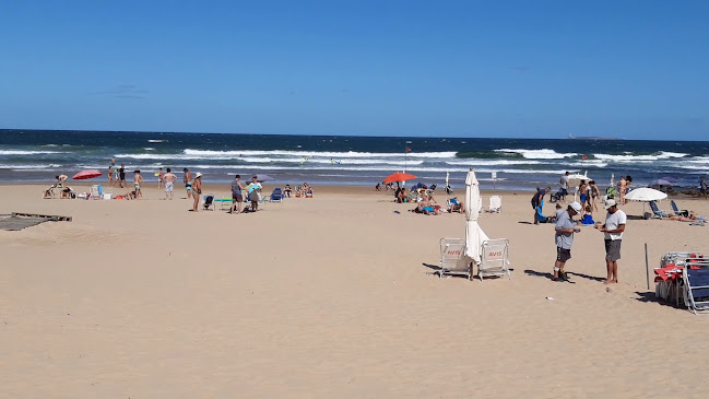 Dedos Point - Gastronomía y hostelería