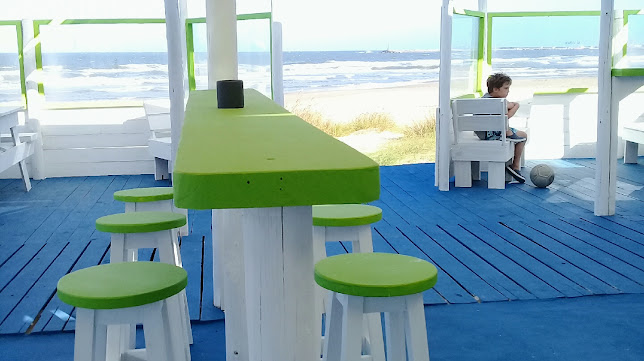 Aguacate - La Paloma