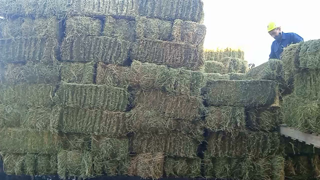 Comentarii opinii despre Almacén Rural Salto