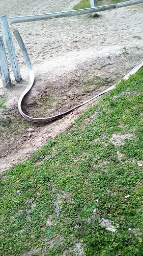 Comentarii opinii despre Hipódromo bar