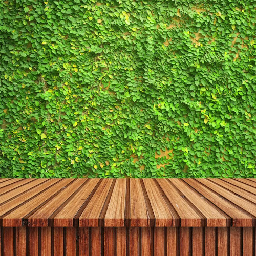 Eli Seven Pizzería, Rotiseria, Milanesas, Chivitos, Helados, Empanadas, Tacos y Bebidas - Ciudad del Plata