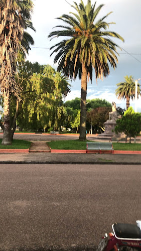 Opinii despre Sabor Casero în Sarandí Grande - Gastronomía y hostelería