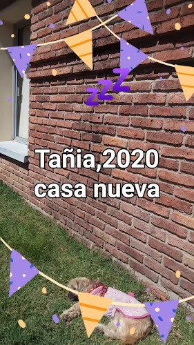 Panadería y Facturería YENIFER