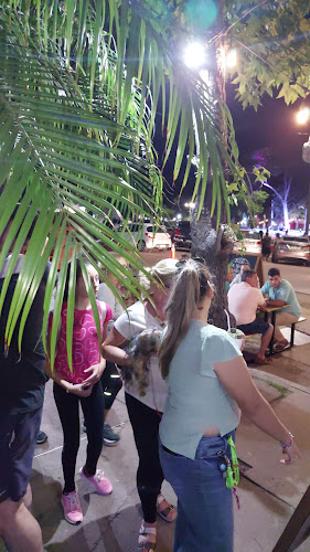 Comentarii opinii despre Pizza Al Paso