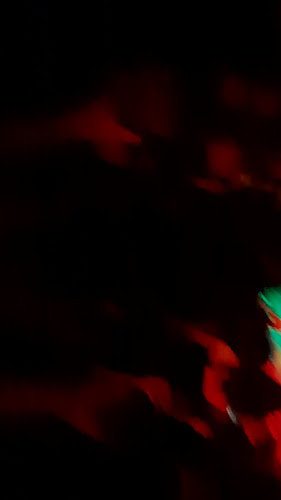 Roxx Bar - Gastronomía y hostelería