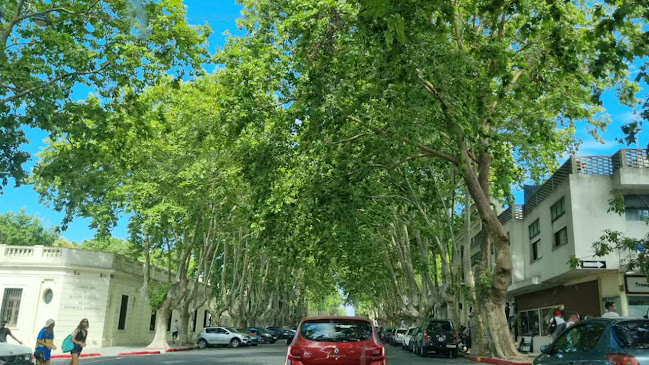 Punta Piedra - Gastronomía y hostelería