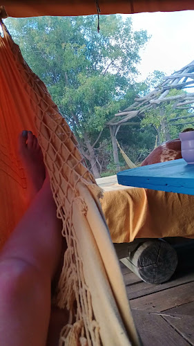 Tao Bosque - Sushi & Cine